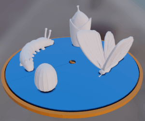 Butterfly – Life Cycle
